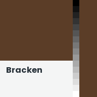 Color chip: Bracken