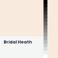 Color chip: Bridal Heath