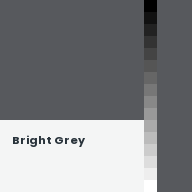 Color chip: Bright Grey