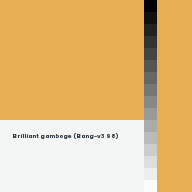 Color chip: Brilliant gamboge (Bang-v3 98)