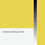 Color chip: Brilliant gold (Bang-v3 124)