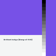 Color chip: Brilliant indigo (Bang-v3 509)