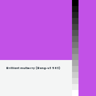 Color chip: Brilliant mulberry (Bang-v3 563)