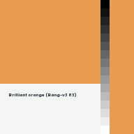 Color chip: Brilliant orange (Bang-v3 83)