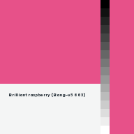 Color chip: Brilliant raspberry (Bang-v3 663)