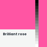 Color chip: Brilliant rose