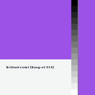 Color chip: Brilliant violet (Bang-v3 535)
