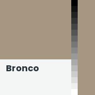 Color chip: Bronco