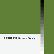Color chip: BS381 218 Grass Green