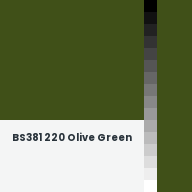 Color chip: BS381 220 Olive Green
