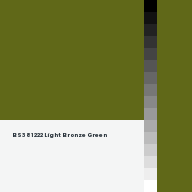 Color chip: BS381 222 Light Bronze Green