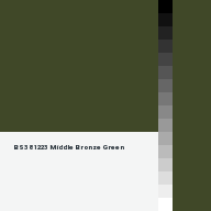 Color chip: BS381 223 Middle Bronze Green