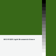 Color chip: BS381 225 Light Brunswick Green