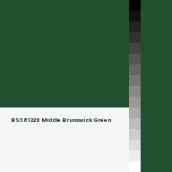 Color chip: BS381 226 Middle Brunswick Green