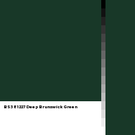 Color chip: BS381 227 Deep Brunswick Green