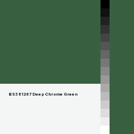Color chip: BS381 267 Deep Chrome Green