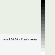 Color chip: BS4800 00 A 01 Ash Grey
