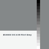 Color chip: BS4800 00 A 09 Flint Grey