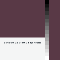 Color chip: BS4800 02 C 40 Deep Plum