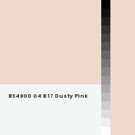 Color chip: BS4800 04 B 17 Dusty Pink