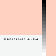 Color chip: BS4800 04 C 33 Orchid Pink