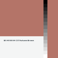 Color chip: BS4800 04 C 37 Autumn Brown