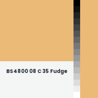 Color chip: BS4800 08 C 35 Fudge