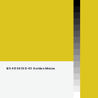 Color chip: BS4800 10 D 43 Golden Maize