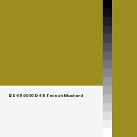 Color chip: BS4800 10 D 45 French Mustard
