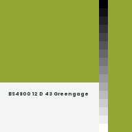 Color chip: BS4800 12 D 43 Greengage