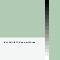 Color chip: BS4800 14 C 35 Iceplant Green