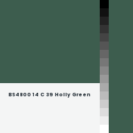 Color chip: BS4800 14 C 39 Holly Green