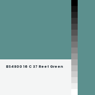 Color chip: BS4800 16 C 37 Reef Green