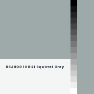 Color chip: BS4800 18 B 21 Squirrel Grey