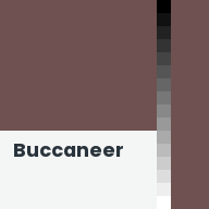Color chip: Buccaneer
