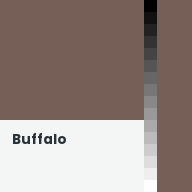 Color chip: Buffalo