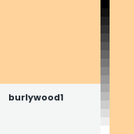 Color chip: burlywood1