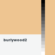 Color chip: burlywood2