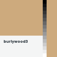 Color chip: burlywood3