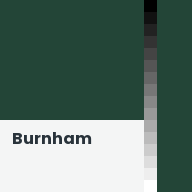 Color chip: Burnham