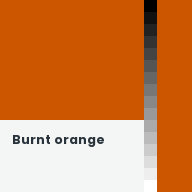 Color chip: Burnt orange