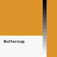 Color chip: Buttercup