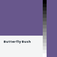 Color chip: Butterfly Bush