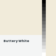 Color chip: Buttery White