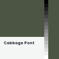Color chip: Cabbage Pont