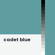 Color chip: Cadet blue