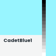 Color chip: CadetBlue1