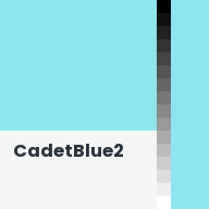 Color chip: CadetBlue2
