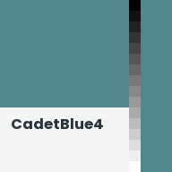 Color chip: CadetBlue4