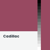 Color chip: Cadillac